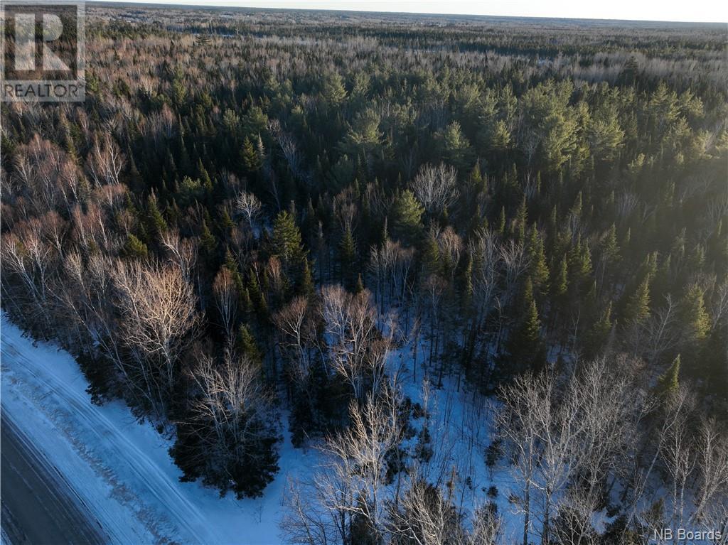 Land Parker Road, Derby, New Brunswick  E1V 5E8 - Photo 1 - NB095791