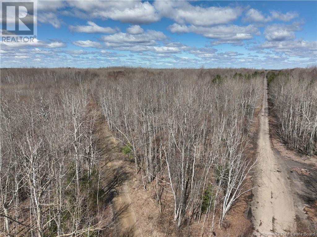 Lot Mckinnon Road, Miramichi, New Brunswick  E1V 5Y1 - Photo 3 - NB098430