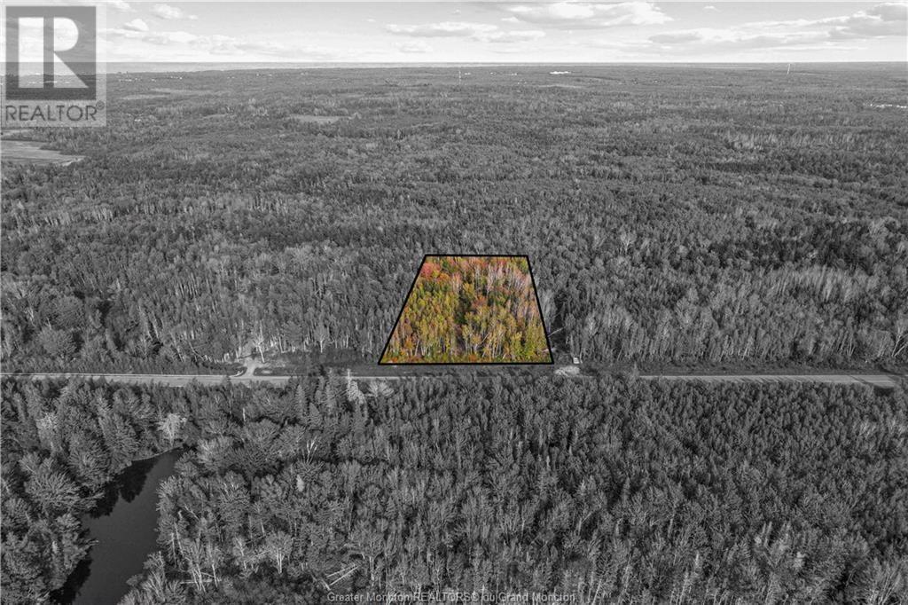 Lot 22-08 Thibodeau Road, Saint-Andre-Leblanc, New Brunswick E4P 6G2 - Photo 2 - M159311