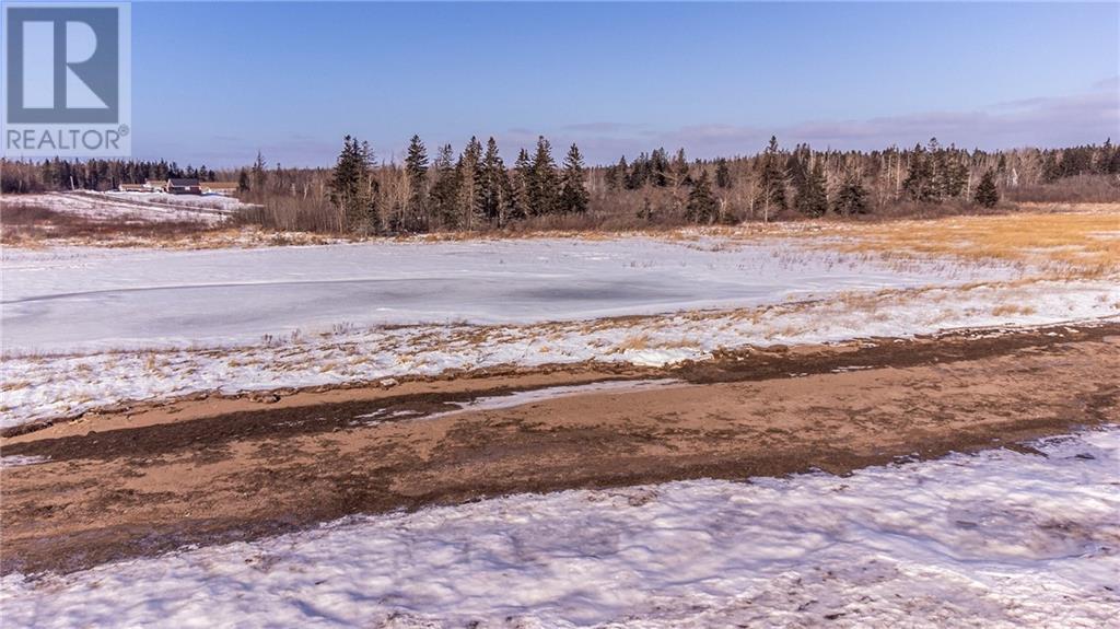 Lot Fort Moncton Road, Baie Verte, New Brunswick E4M 1G3 - Photo 10 - M159787