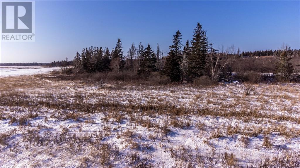Lot Fort Moncton Road, Baie Verte, New Brunswick E4M 1G3 - Photo 13 - M159787