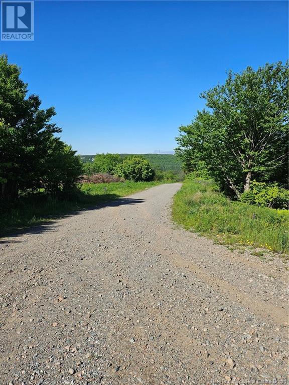 Dolly Drive, Saint John, New Brunswick