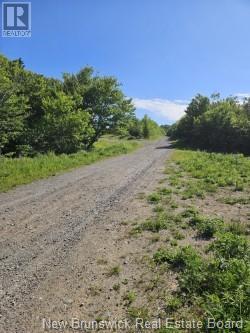 Dolly Drive, Saint John, New Brunswick  E2J 3E9 - Photo 4 - NB101797