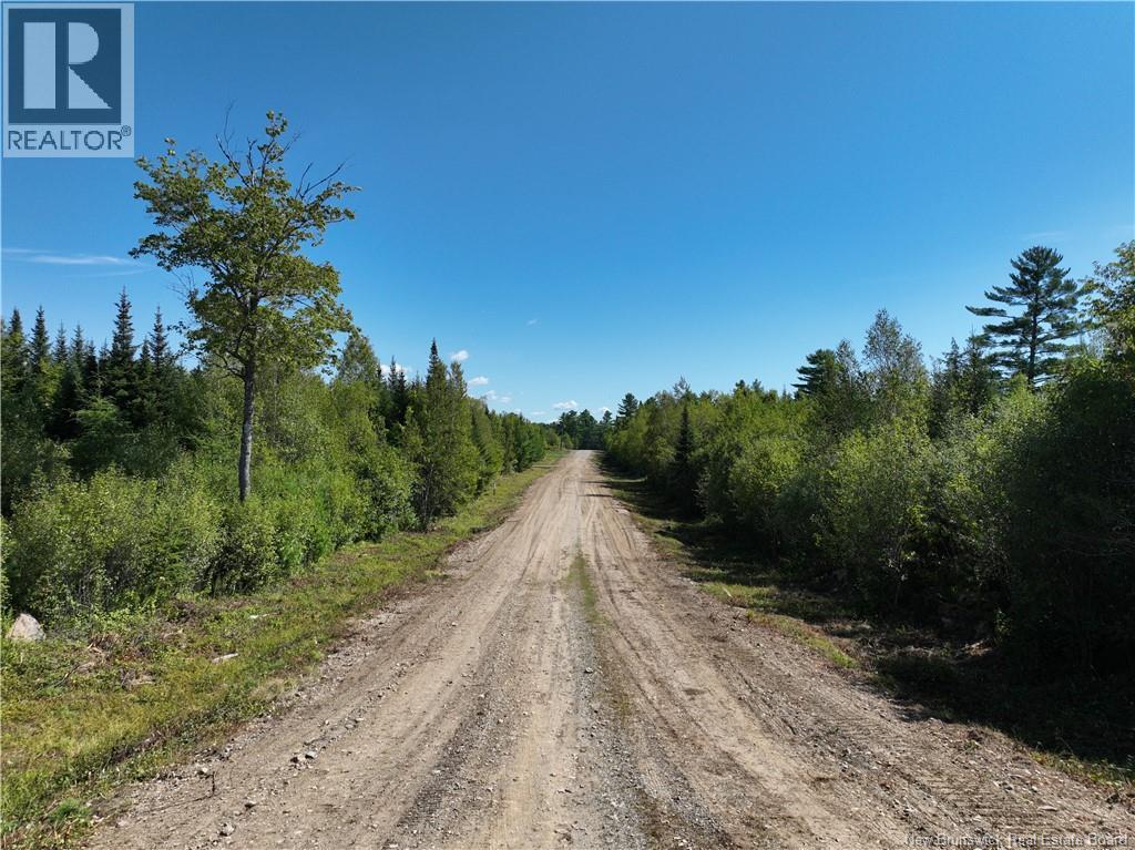 1 Crest Avenue, Heathland, New Brunswick E3L 5C1 - Photo 4 - NB105375