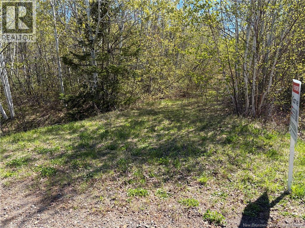 Vacant Lot Noel Road, Belledune, New Brunswick E8G 2T6 - Photo 5 - NB106133