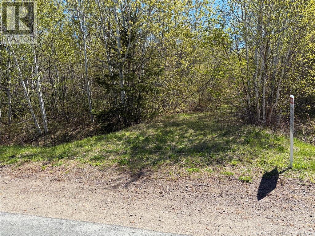 Vacant Lot Noel Road, Belledune, New Brunswick E8G 2T6 - Photo 6 - NB106133