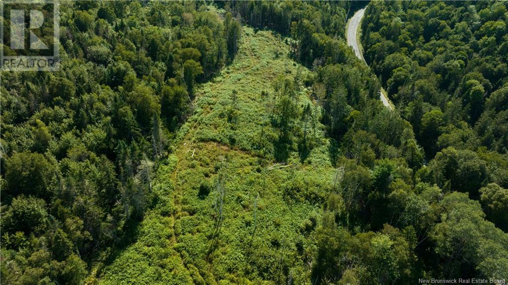 Lot Damascus Road, Smithtown, New Brunswick  E5N 3Z9 - Photo 11 - NB106388
