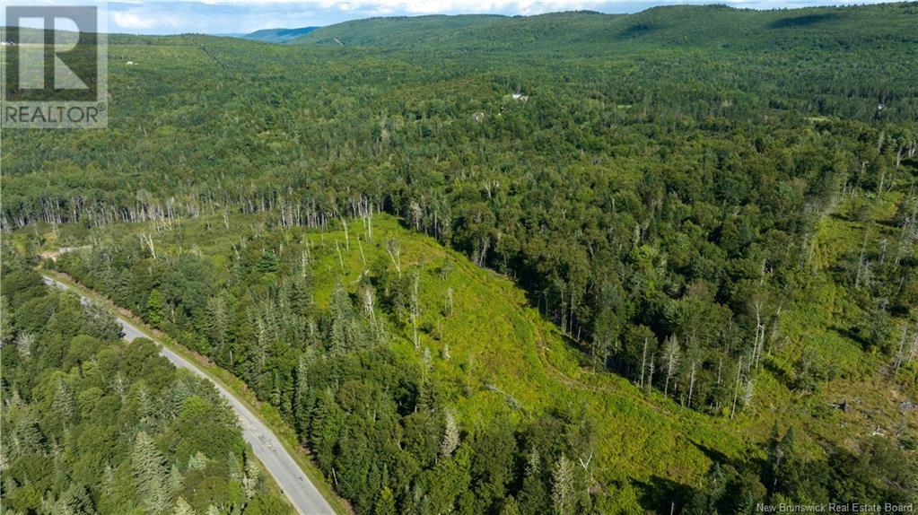 Lot Damascus Road, Smithtown, New Brunswick  E5N 3Z9 - Photo 14 - NB106388