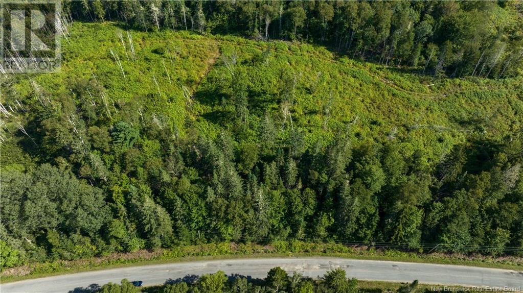 Lot Damascus Road, Smithtown, New Brunswick  E5N 3Z9 - Photo 2 - NB106388
