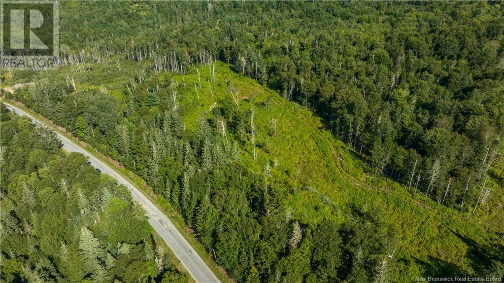 Lot Damascus Road, Smithtown, New Brunswick  E5N 3Z9 - Photo 4 - NB106388