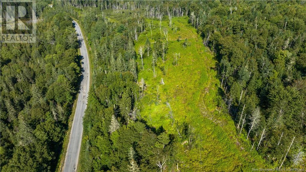 Lot Damascus Road, Smithtown, New Brunswick  E5N 3Z9 - Photo 6 - NB106388