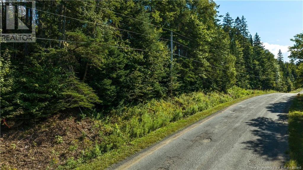 Lot Damascus Road, Smithtown, New Brunswick  E5N 3Z9 - Photo 7 - NB106388