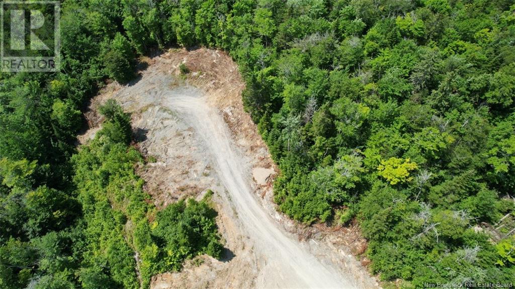 Lot Du Plateau Street, Edmundston, New Brunswick E3V 0G8 - Photo 5 - NB106599