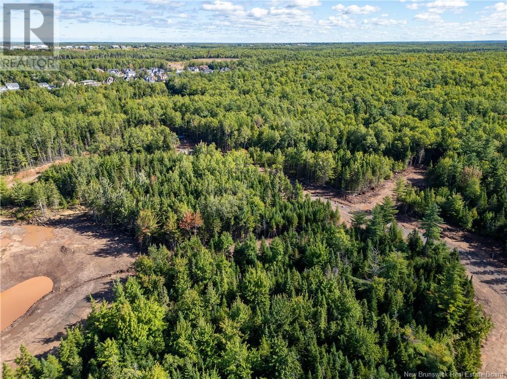 39 Karma Crescent, Dieppe, New Brunswick E1A 8J9 - Photo 11 - NB107351