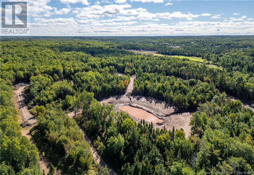 39 Karma Crescent, Dieppe, New Brunswick E1A 8J9 - Photo 13 - NB107351