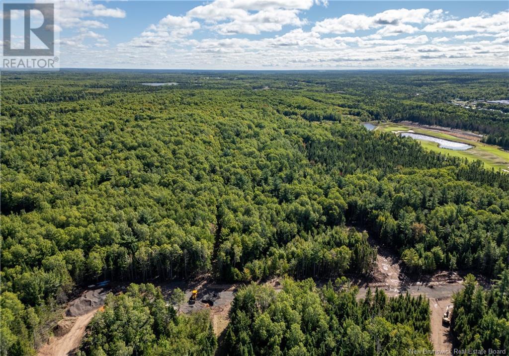 39 Karma Crescent, Dieppe, New Brunswick E1A 8J9 - Photo 7 - NB107351