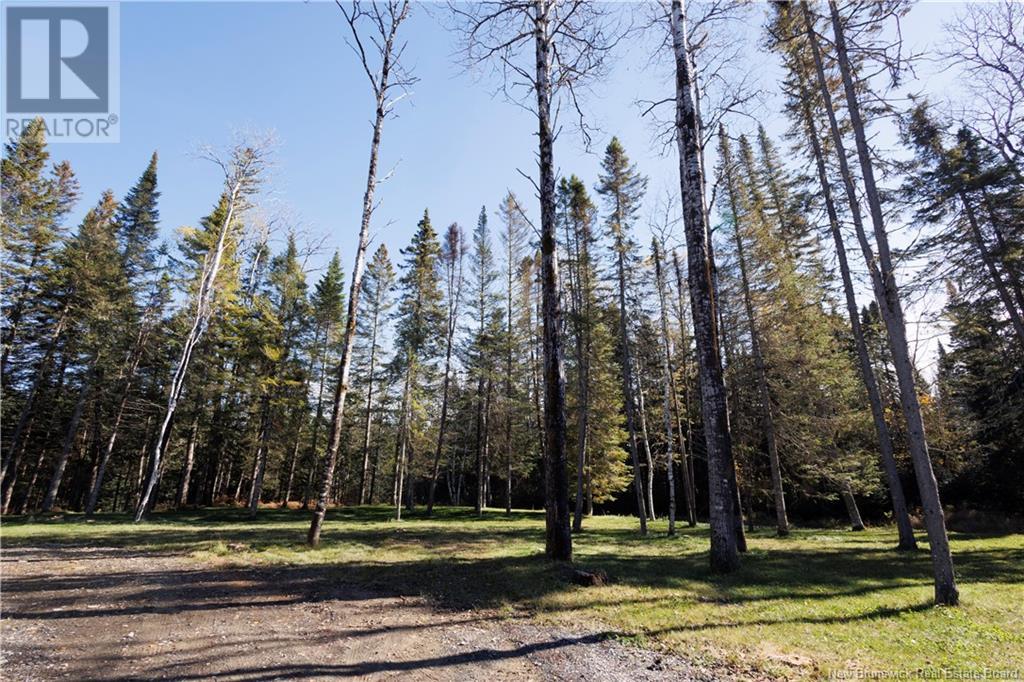 1264 Canton Road, Dsl De Drummond/dsl Of Drummond, New Brunswick  E3Y 3W8 - Photo 8 - NB108020