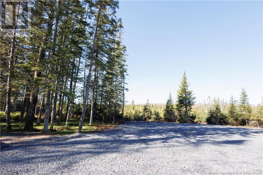 1264 Canton Road, Dsl De Drummond/dsl Of Drummond, New Brunswick  E3Y 3W8 - Photo 9 - NB108020