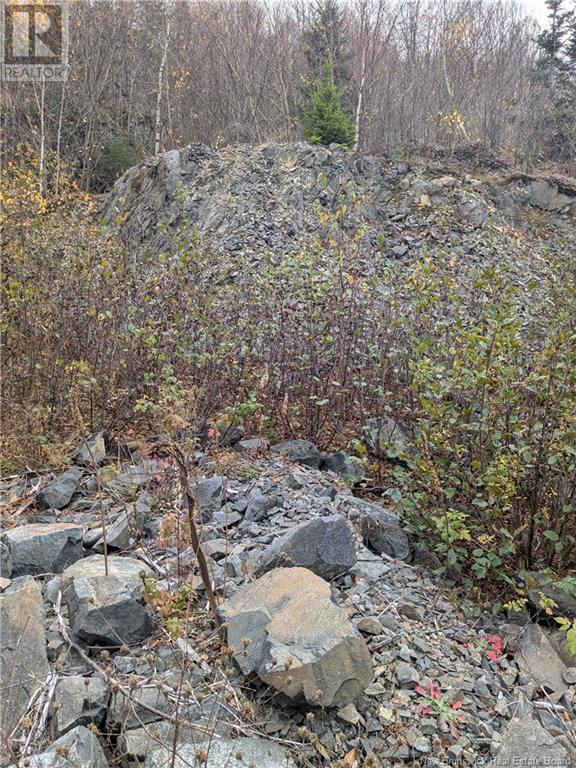 86-321 Fundy Drive, Campobello, New Brunswick  E5E 1C1 - Photo 4 - NB108382