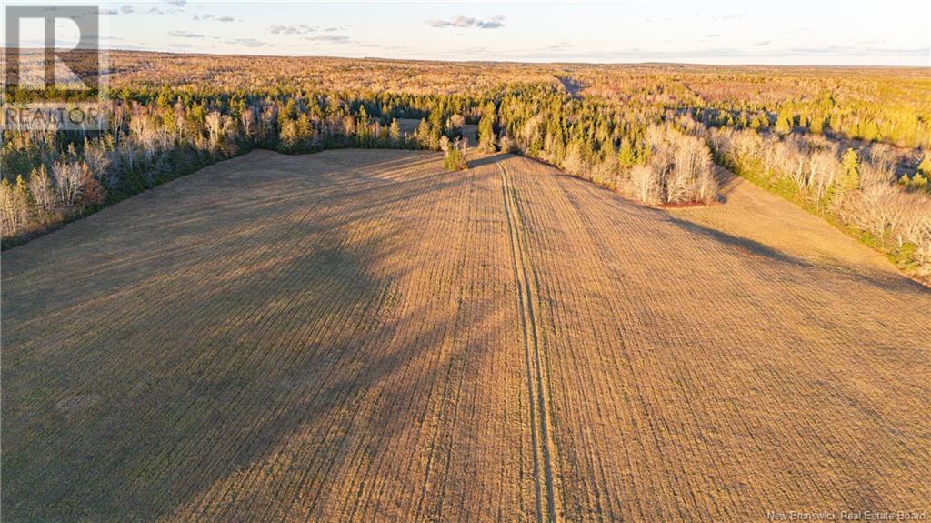 1732 Route 107 Route, Williamsburg, New Brunswick E6B 1W6 - Photo 10 - NB108788