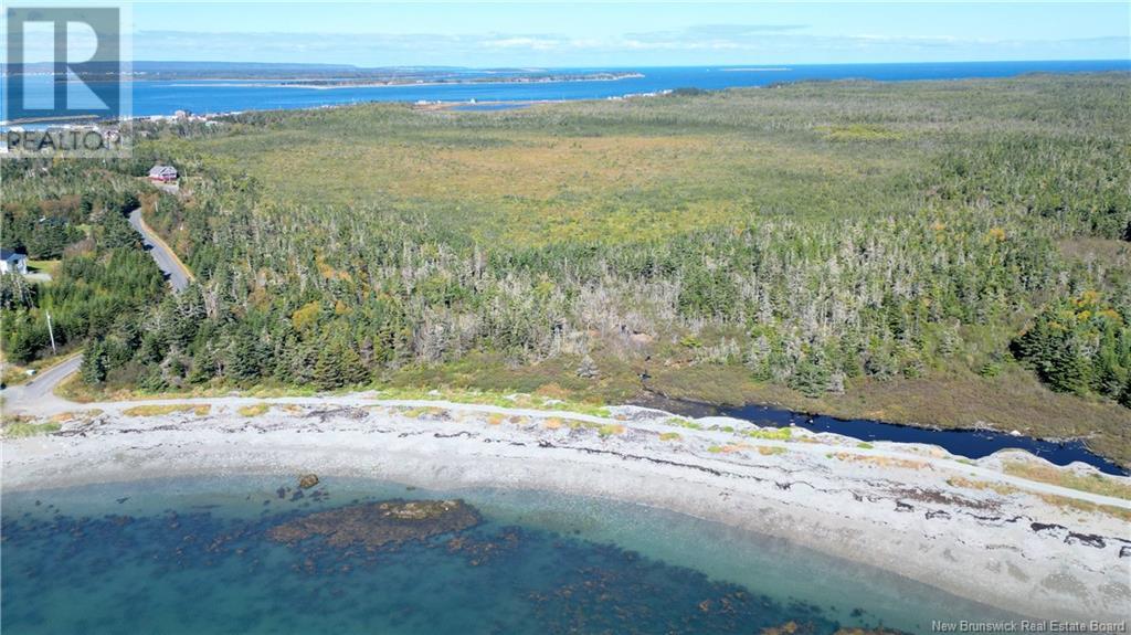 Long Point Road, Grand Manan, New Brunswick E5G 2K7 - Photo 4 - NB109292