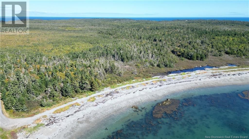 Long Point Road, Grand Manan, New Brunswick E5G 2K7 - Photo 6 - NB109292