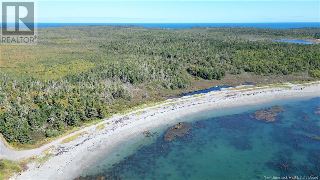 Long Point Road, Grand Manan, New Brunswick E5G 2K7 - Photo 8 - NB109292