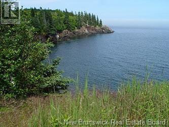 Lot 86-71 Fundy Drive, Campobello, New Brunswick  E5E 1X2 - Photo 1 - NB110042