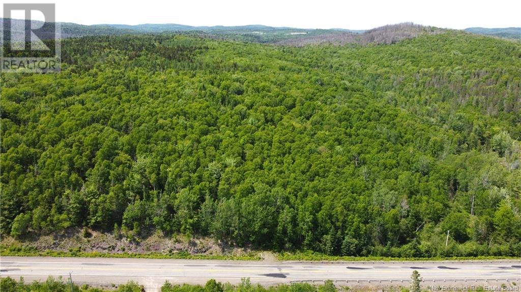 000 Route 127, Bocabec, New Brunswick  E5B 3H7 - Photo 1 - NB110542