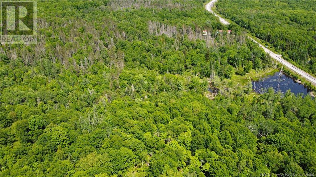 000 Route 127, Bocabec, New Brunswick  E5B 3H7 - Photo 10 - NB110542