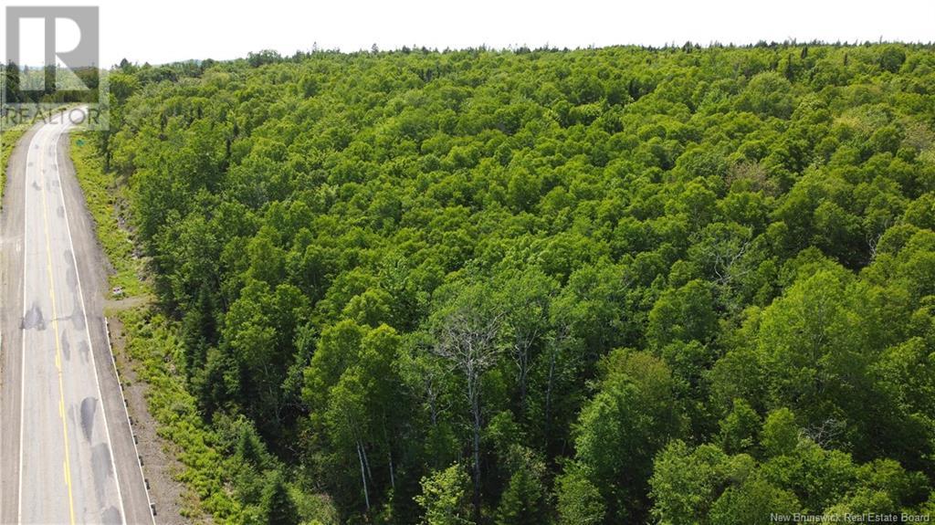 000 Route 127, Bocabec, New Brunswick  E5B 3H7 - Photo 11 - NB110542