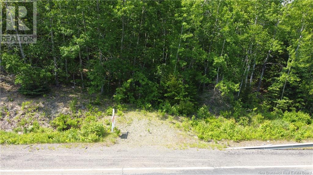 000 Route 127, Bocabec, New Brunswick  E5B 3H7 - Photo 12 - NB110542