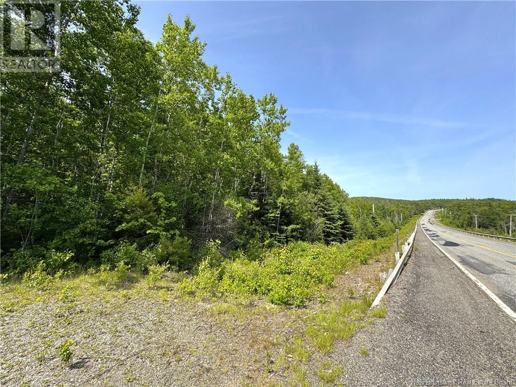 000 Route 127, Bocabec, New Brunswick  E5B 3H7 - Photo 13 - NB110542