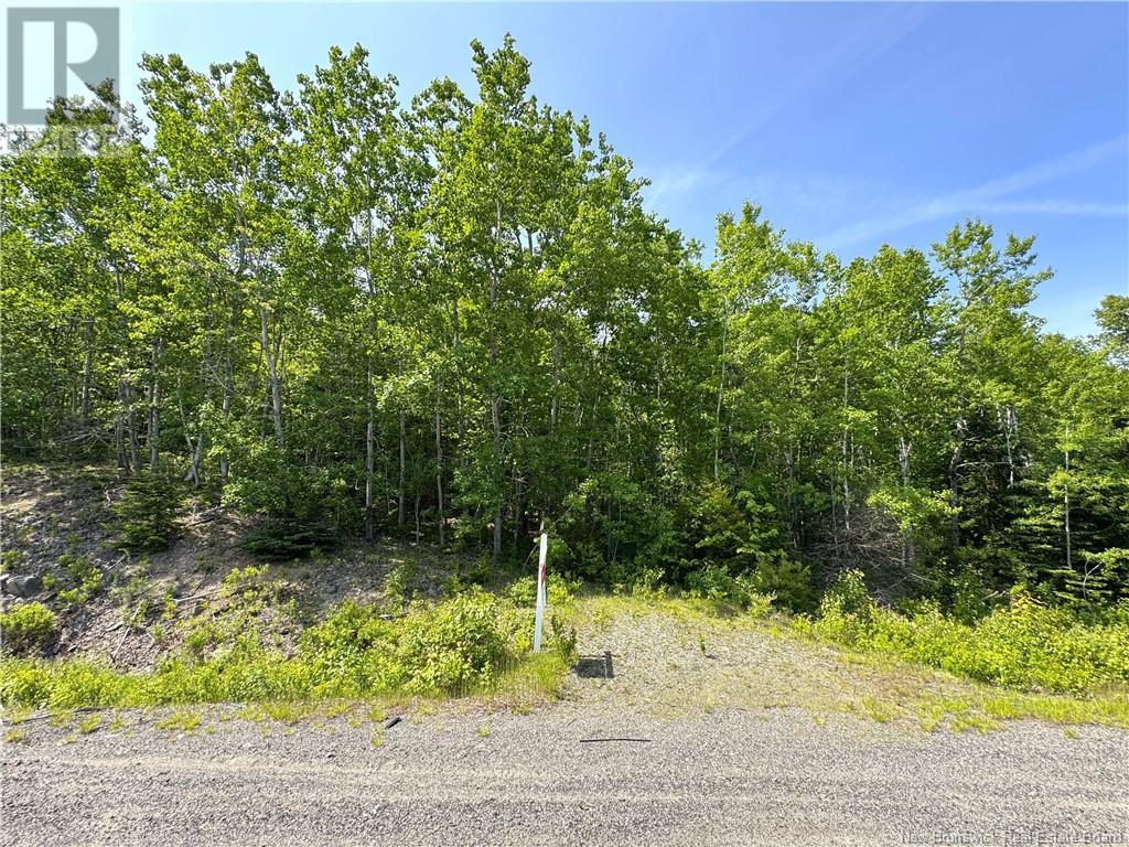 000 Route 127, Bocabec, New Brunswick  E5B 3H7 - Photo 14 - NB110542
