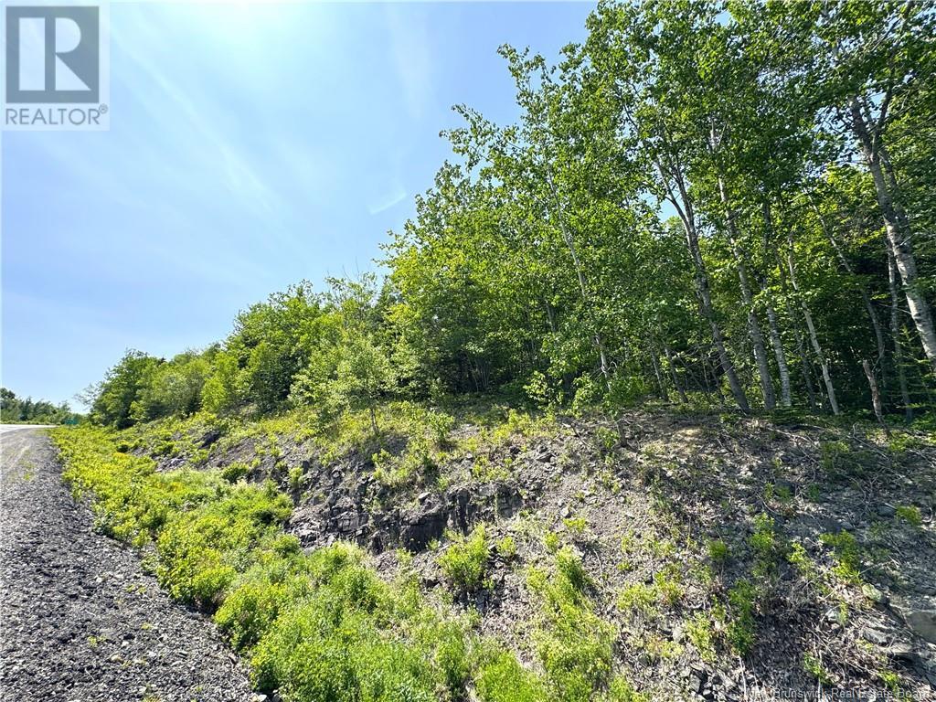 000 Route 127, Bocabec, New Brunswick  E5B 3H7 - Photo 15 - NB110542