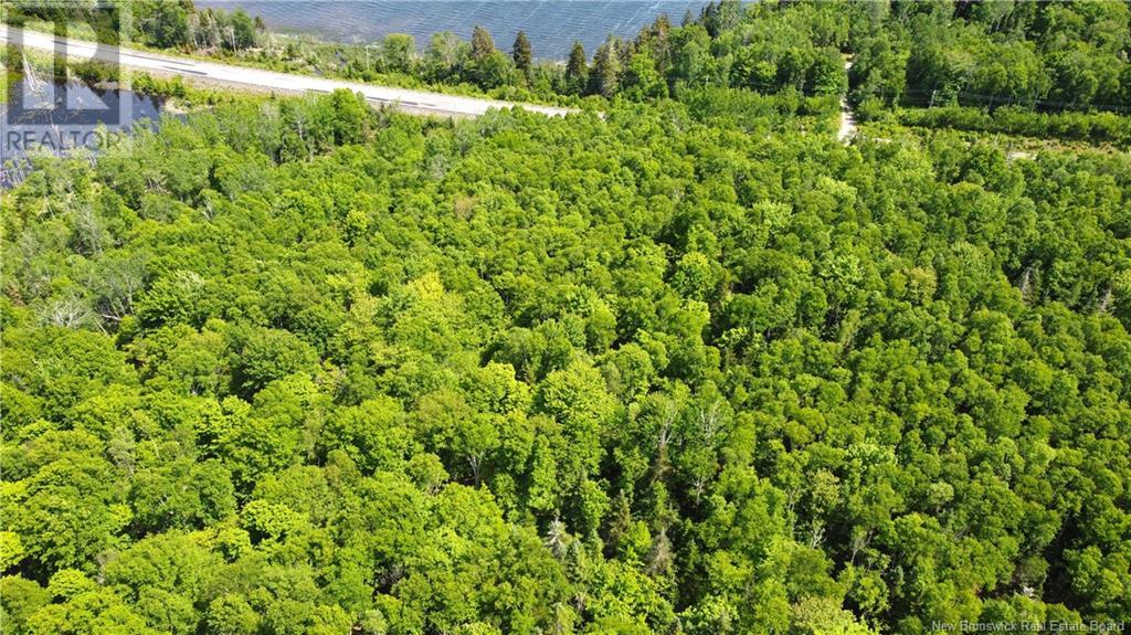 000 Route 127, Bocabec, New Brunswick  E5B 3H7 - Photo 7 - NB110542