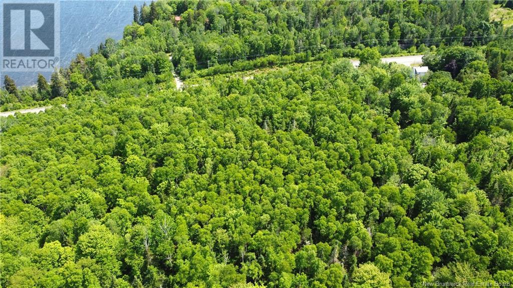000 Route 127, Bocabec, New Brunswick  E5B 3H7 - Photo 8 - NB110542