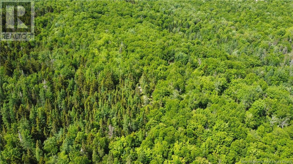 000 Route 127, Bocabec, New Brunswick  E5B 3H7 - Photo 9 - NB110542