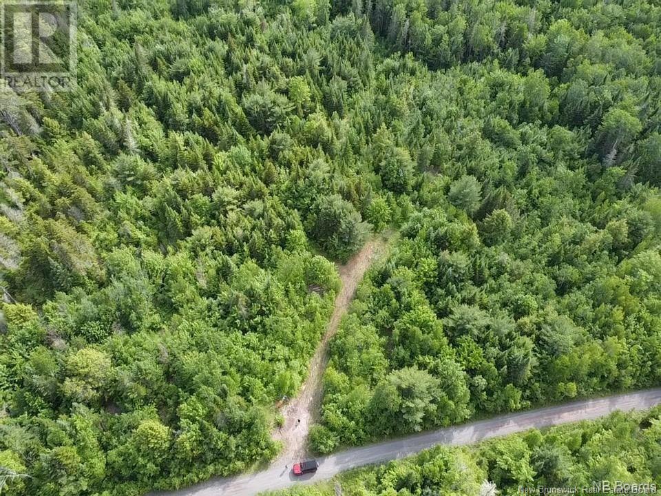 Lot Rear Hwy 101 New Maryland, Rusagonis, New Brunswick E3B 0C0 - Photo 3 - NB110794