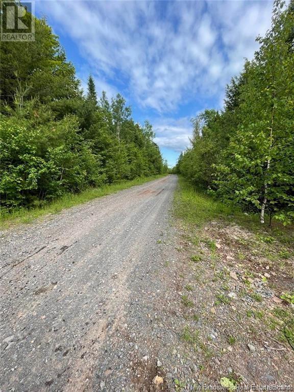 Lot Rear Hwy 101 New Maryland, Rusagonis, New Brunswick E3B 0C0 - Photo 4 - NB110794