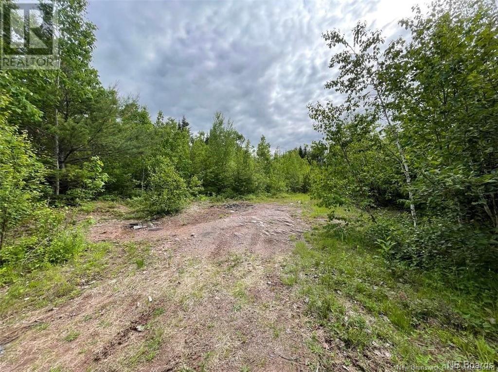 Lot Rear Hwy 101 New Maryland, Rusagonis, New Brunswick E3B 0C0 - Photo 5 - NB110794