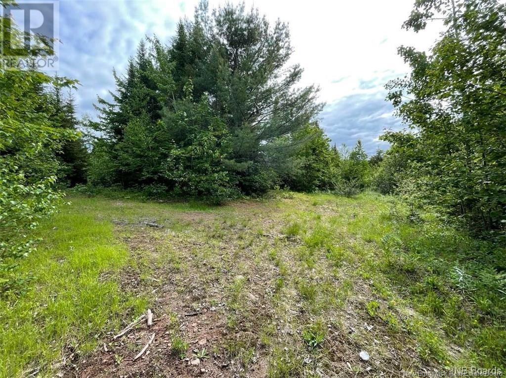 Lot Rear Hwy 101 New Maryland, Rusagonis, New Brunswick E3B 0C0 - Photo 6 - NB110794