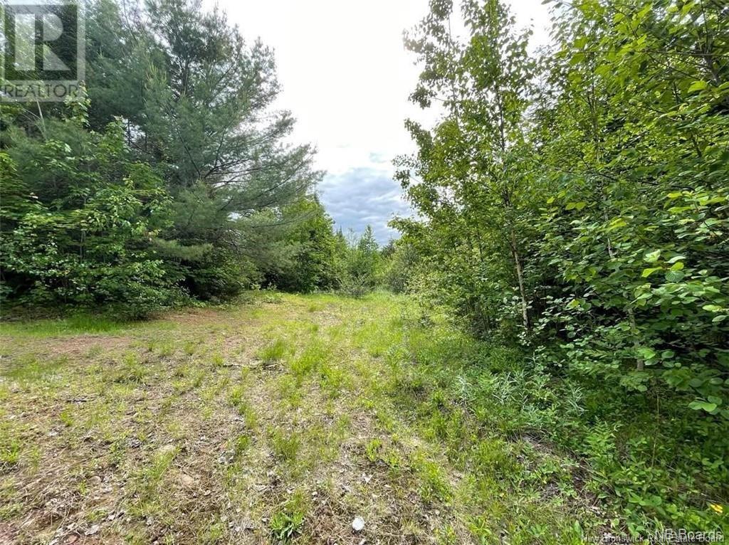 Lot Rear Hwy 101 New Maryland, Rusagonis, New Brunswick E3B 0C0 - Photo 7 - NB110794
