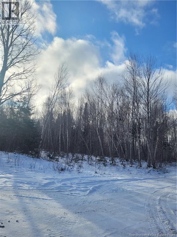0 Tobin Rd., Elmwood, New Brunswick E7N 2C5 - Photo 4 - NB111149