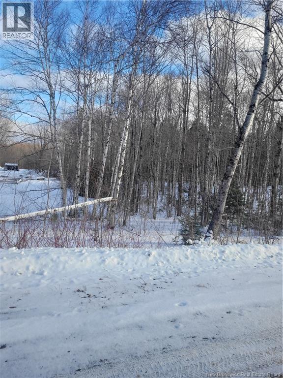 0 Tobin Rd., Elmwood, New Brunswick E7N 2C5 - Photo 6 - NB111149