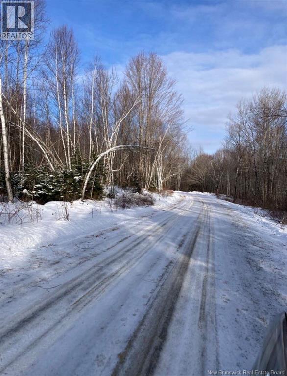 0 Tobin Rd., Elmwood, New Brunswick E7N 2C5 - Photo 8 - NB111149