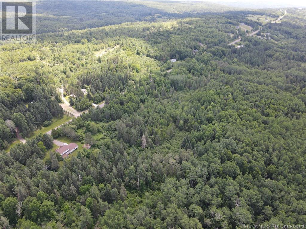 Lot Drurys Cove Road, Ratter Corner, New Brunswick  E4E 3L2 - Photo 2 - NB111071