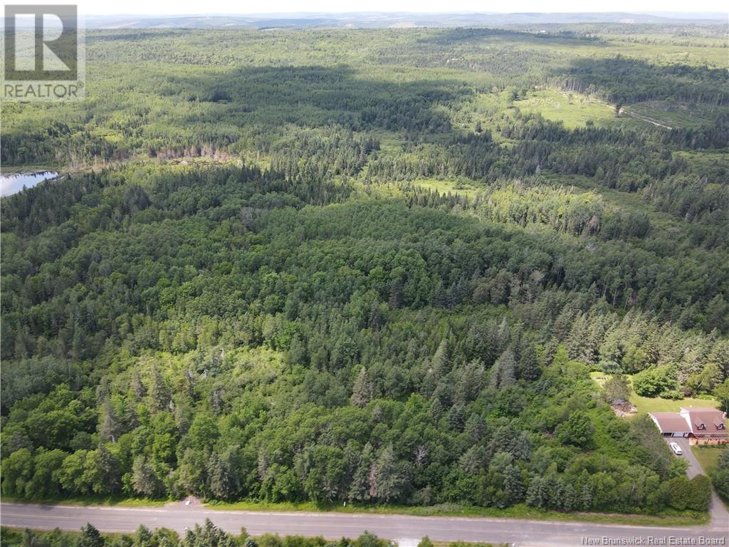 Lot Drurys Cove Road, Ratter Corner, New Brunswick  E4E 3L2 - Photo 4 - NB111071