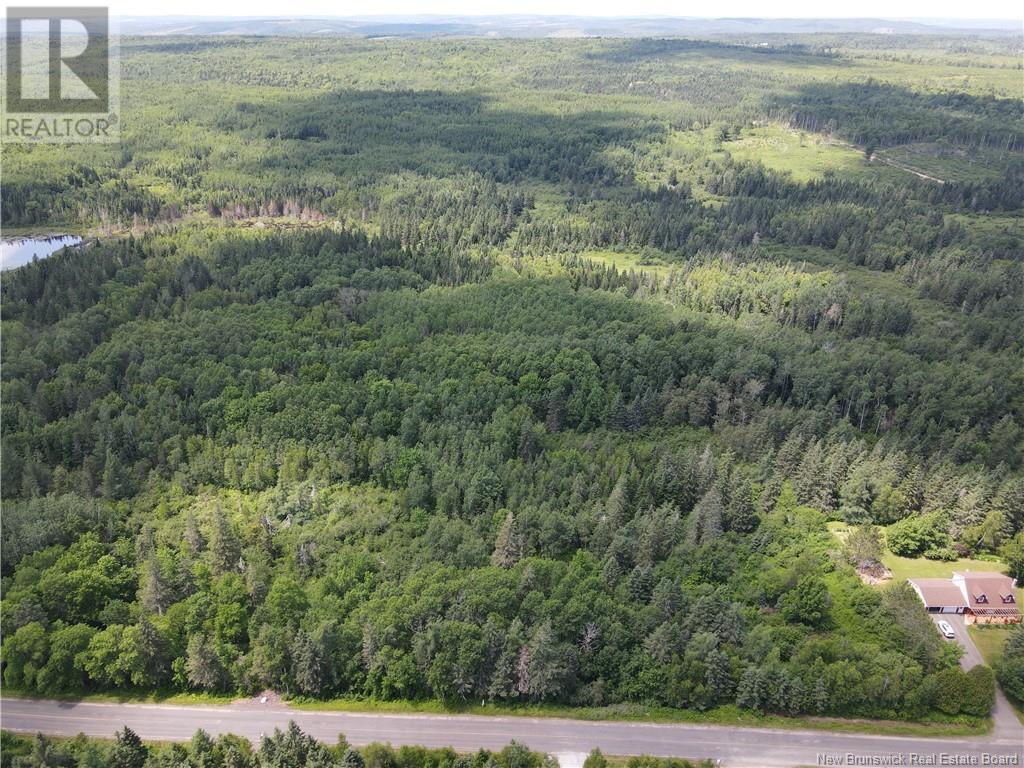 Lot Drurys Cove Road, Ratter Corner, New Brunswick  E4E 3L2 - Photo 5 - NB111071