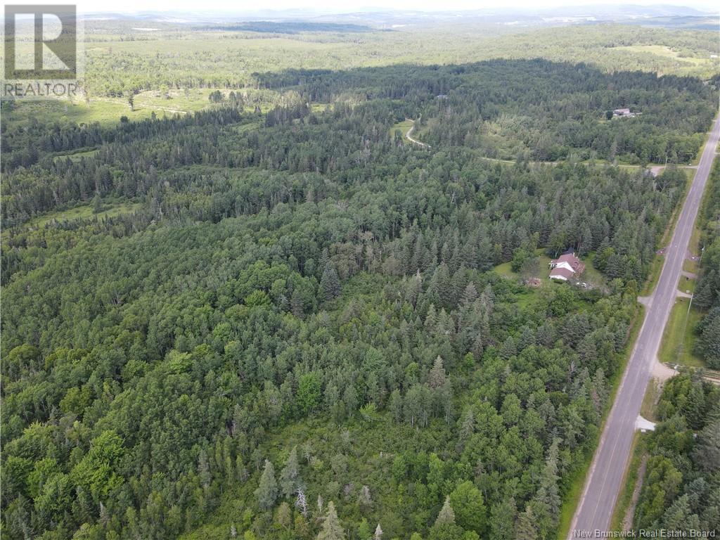 Lot Drurys Cove Road, Ratter Corner, New Brunswick  E4E 3L2 - Photo 8 - NB111071